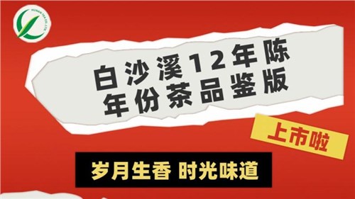 歲月生香 時(shí)光味道丨集團(tuán)白沙溪12年陳年份茶品鑒版上市